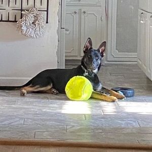 Meet your Posher, Joellen